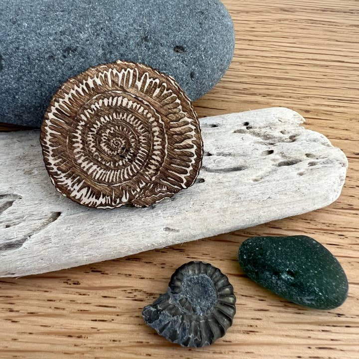 Ammonite etched wooden brooch for wholesale by Rock & Saltwater