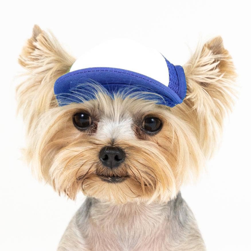 PupLid – wholesale Hatt - Hund – Blank Foam truckerkeps för hundar47