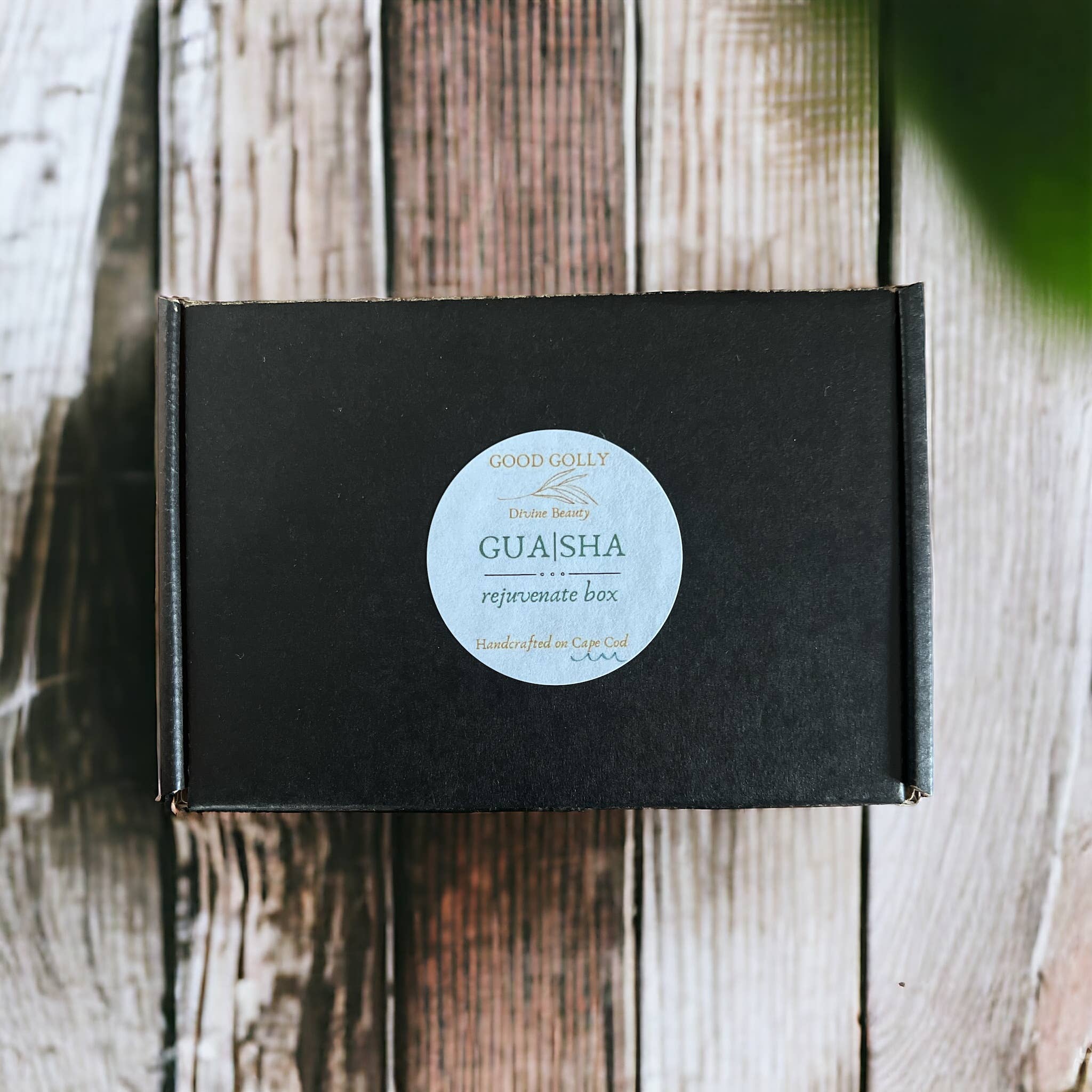 Salt + Soul Skincare - Wholesale Gua Sha-roller - Gua sha | gezichtsserum tegen veroudering | biologische vochtinbrengende crème7