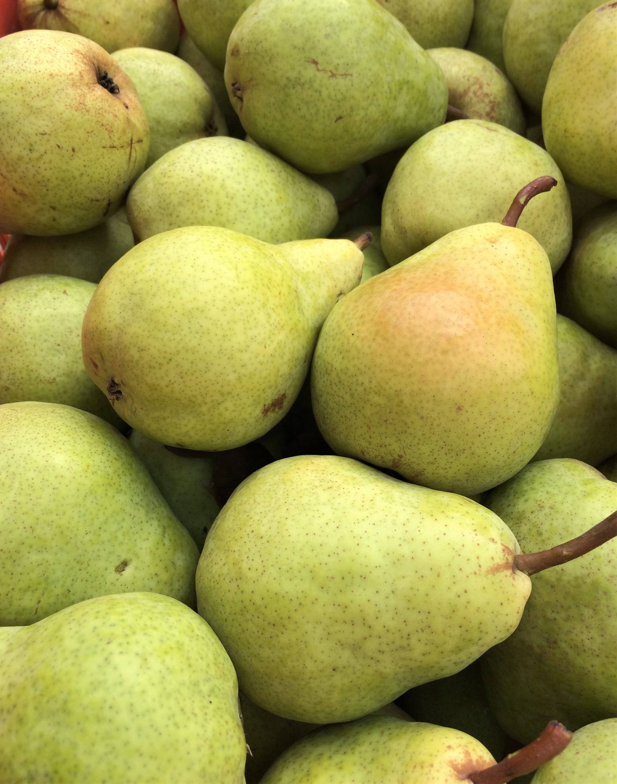 CONSERVES GUINTRAND - Wholesale Preserves - Whole Williams pears in sugar syrup PG 850 ml (jar)1