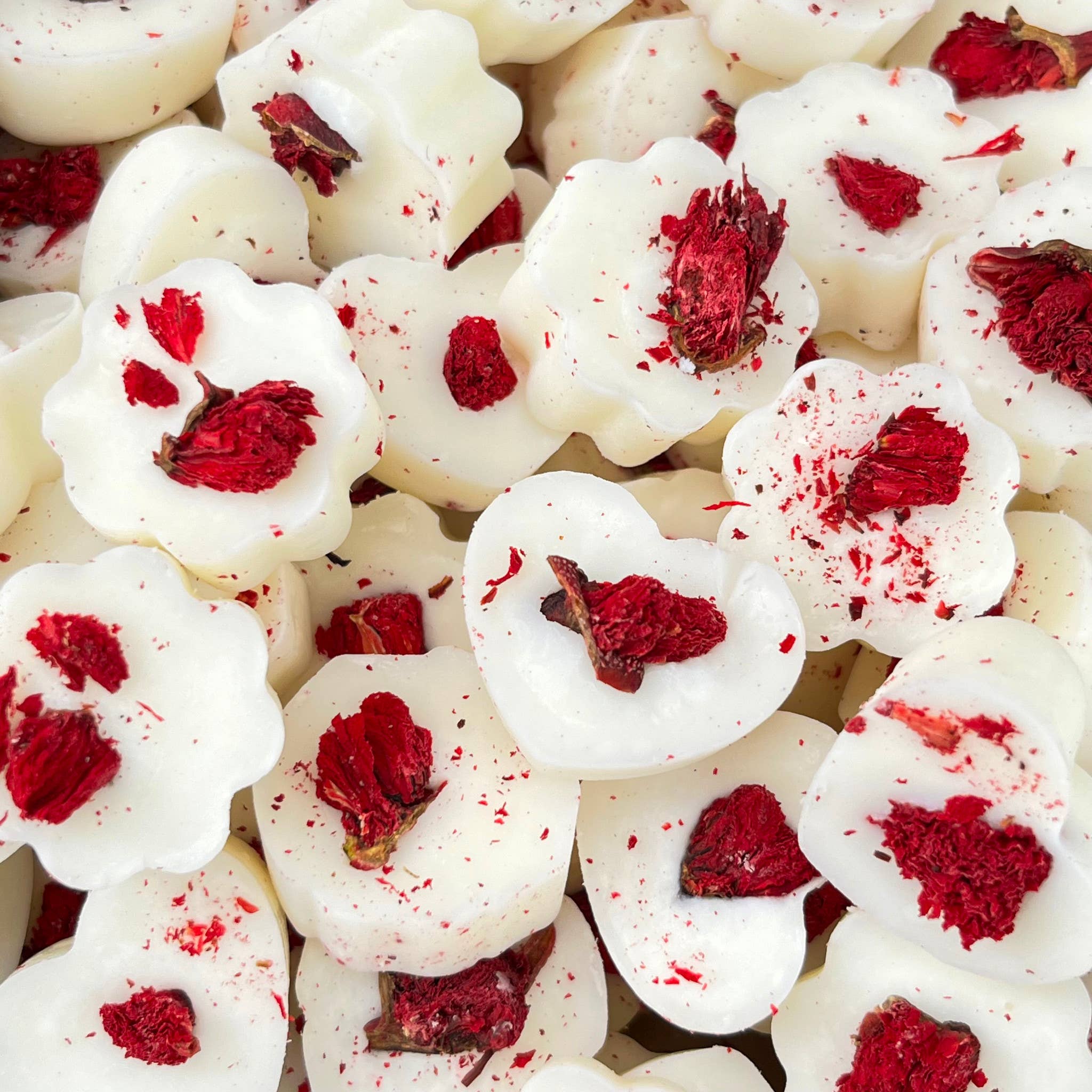 Heaven Scent Incense Ltd - Wholesale Wax Melt - Botanical Mini Wax Melts 600g Box - approx 1003