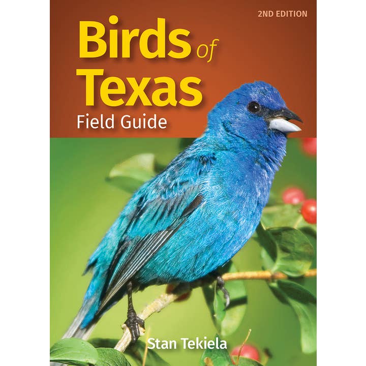 Birds of Texas Field Guide 2e for wholesale by AdventureKEEN