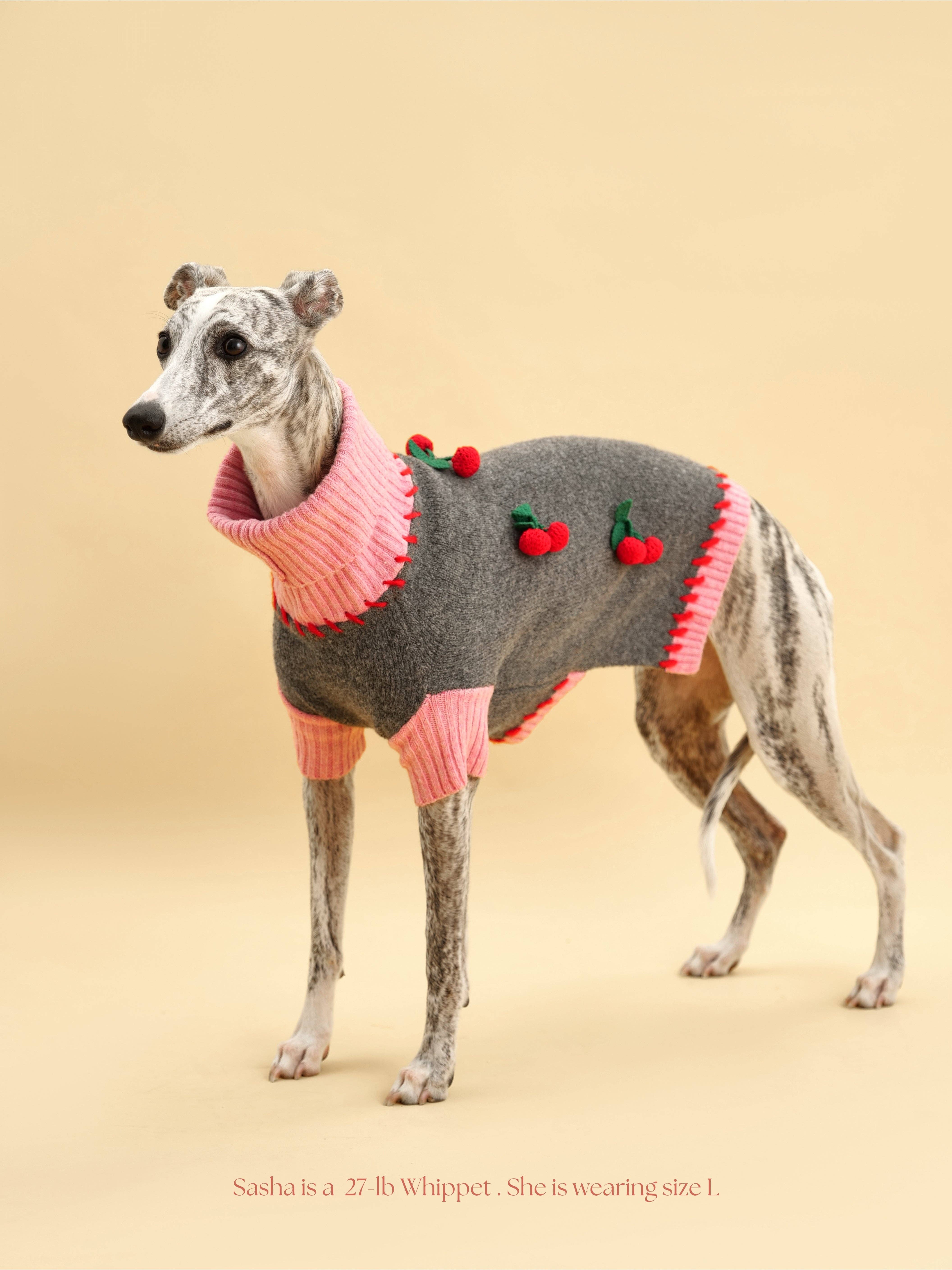 BarkBarkBaby - Vente Pull – chien - Pull Cherry Kiss6