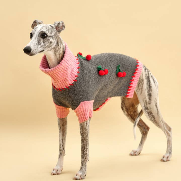 BarkBarkBaby - Wholesale Pet Sweater - Dog - Cherry Kiss Sweater6