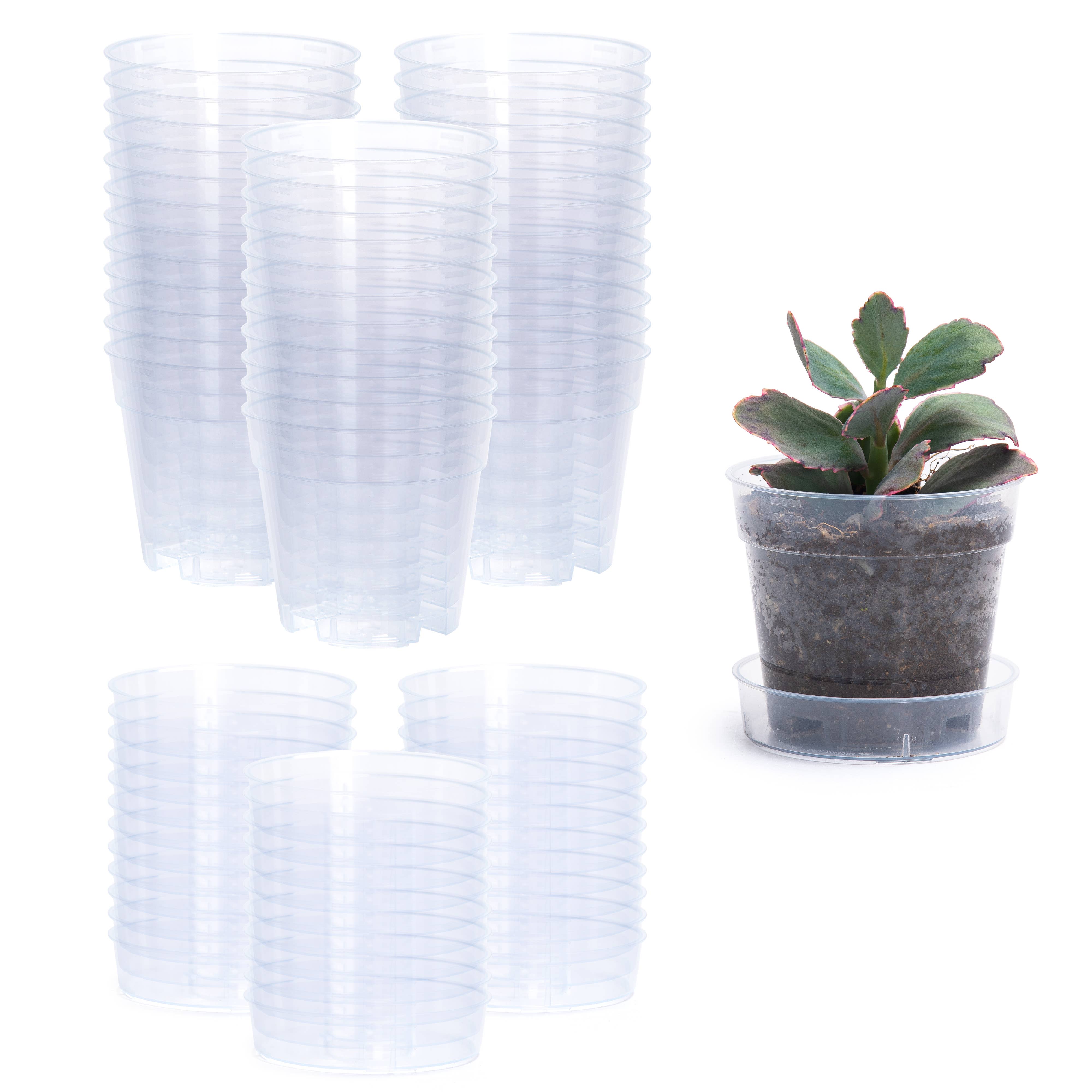 D'VINE DEV - Wholesale Plant Pot - Clear Nursery Pot with an Interlocking Saucer, 4" X 3.5"