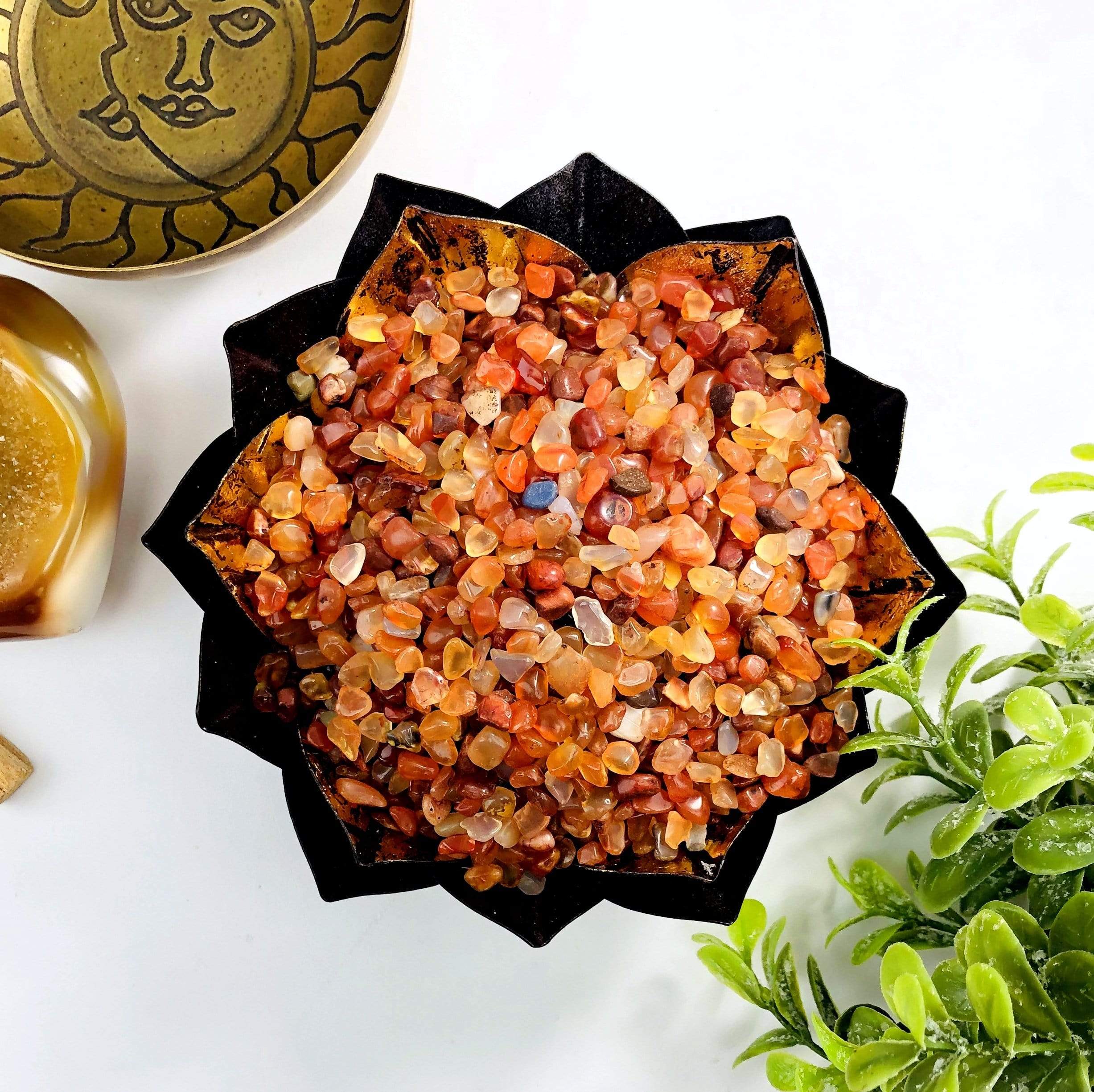 Rock Paradise - Wholesale Spiritual Stone/Crystal - Crystal Carnelian Tumbled Polished Gemstones1