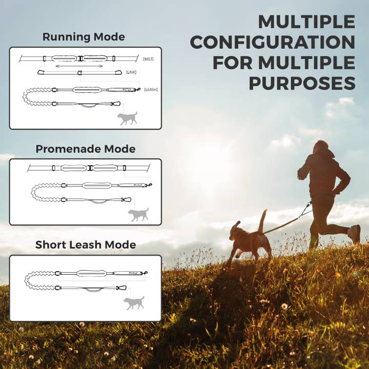 FITLY Running Belt + Dog Leash - BLACK for wholesale on Faire