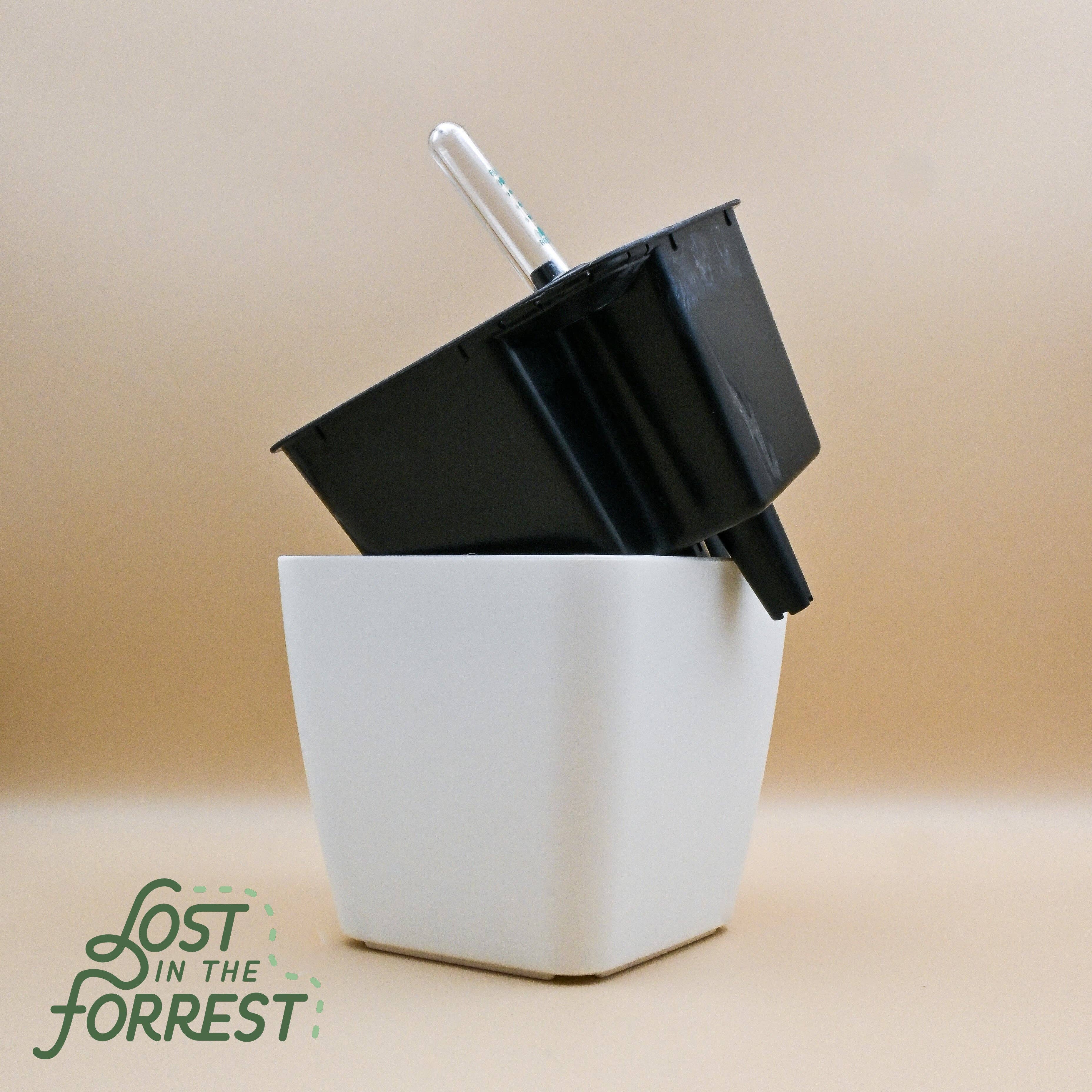 Lost in the Forrest – Vaso de plantas por atacado – Vaso Autorregerável11