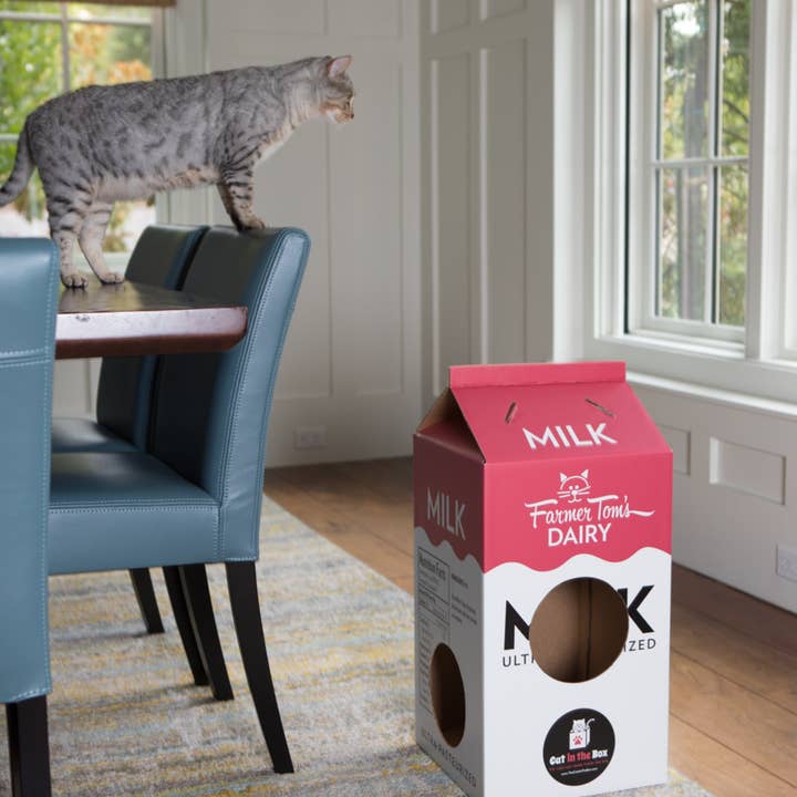 Cat in the Box LLC - Wholesale Speeltje - Kat - Mega Milk Carton - Kartonnen doos Speelhuis voor katten
