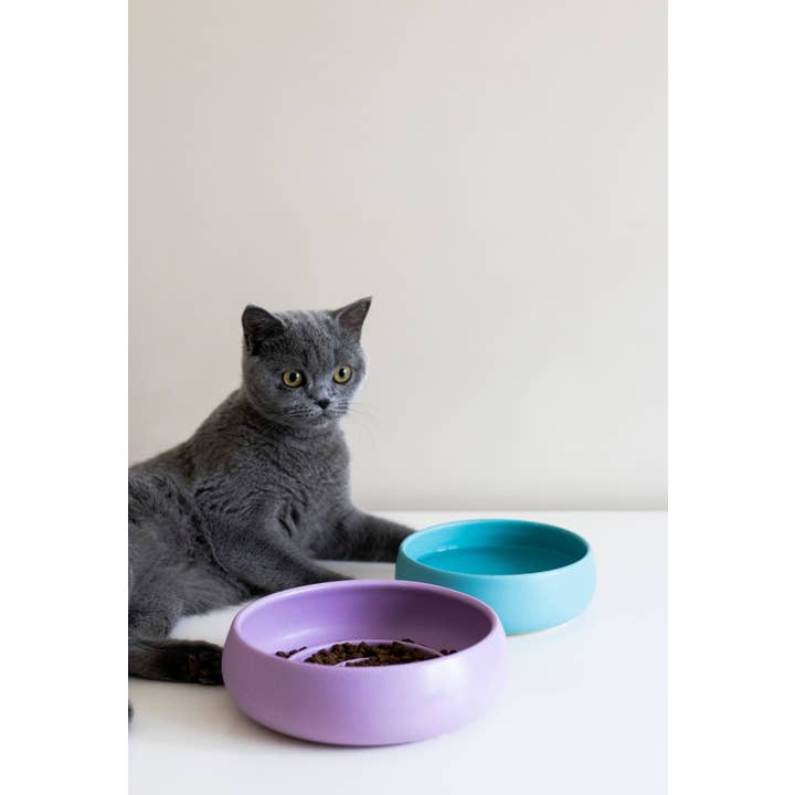 Beige & Stone USA - Wholesale Drinkbak - Kat/Hond - Handgemaakte keramische voerbak voor langzaam eten voor huisdieren2