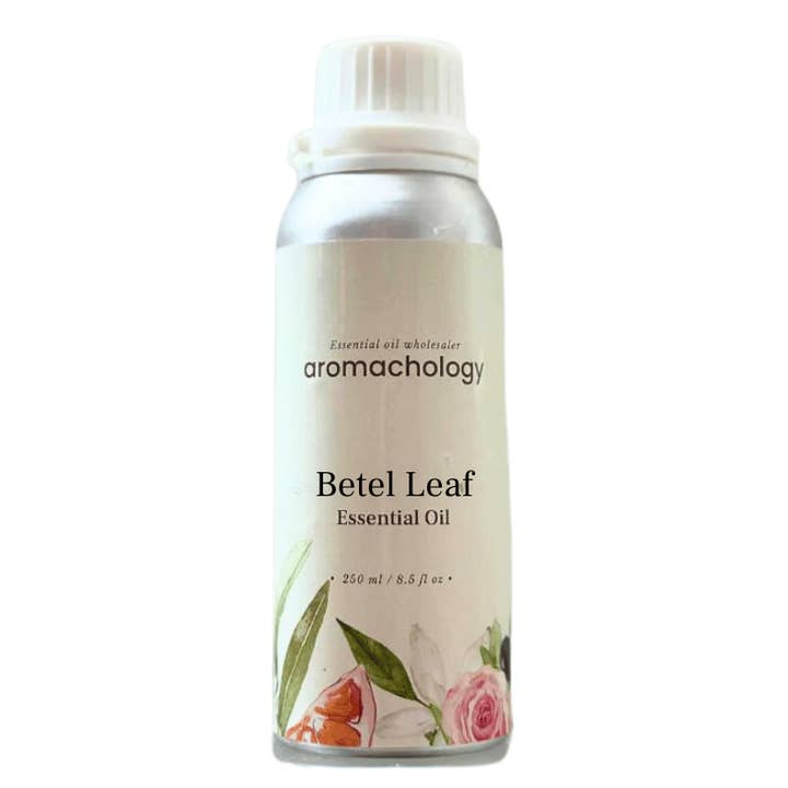 Aromachology - Wholesale Essential oil - Betel Leaf Oil4