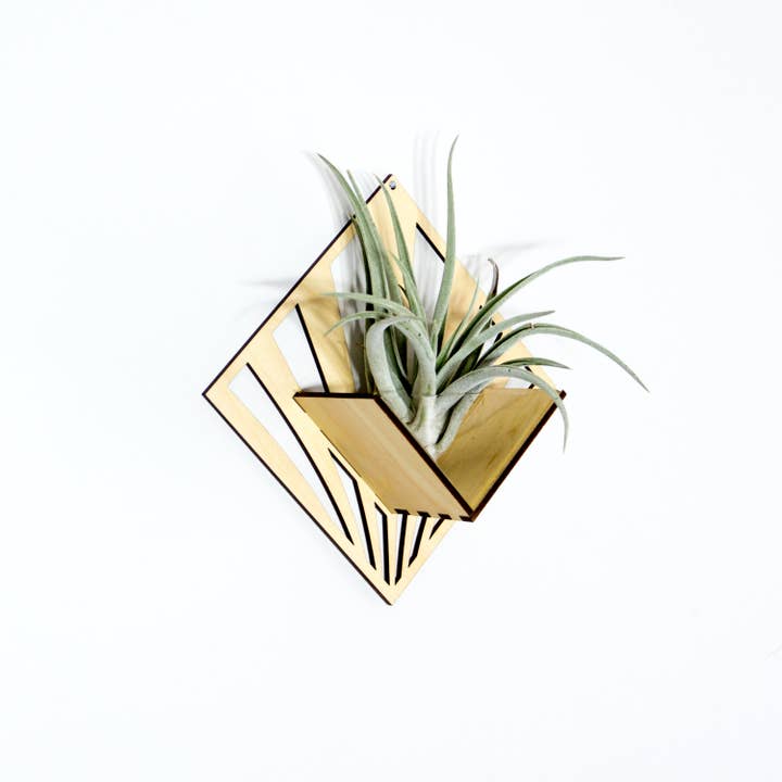 LIGHT RAZOR DESIGN STUDIO - Wholesale Wall planter - Air Plant Holder / Quadrate Wall Hanging Planter 2101