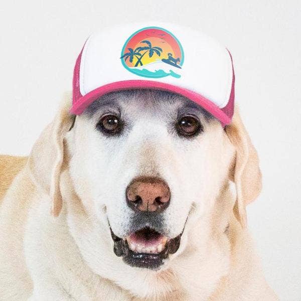 PupLid - Wholesale Pet Hat - Dog - Surfer Dog Standard or Namedrop | Trucker Hat for Dogs8