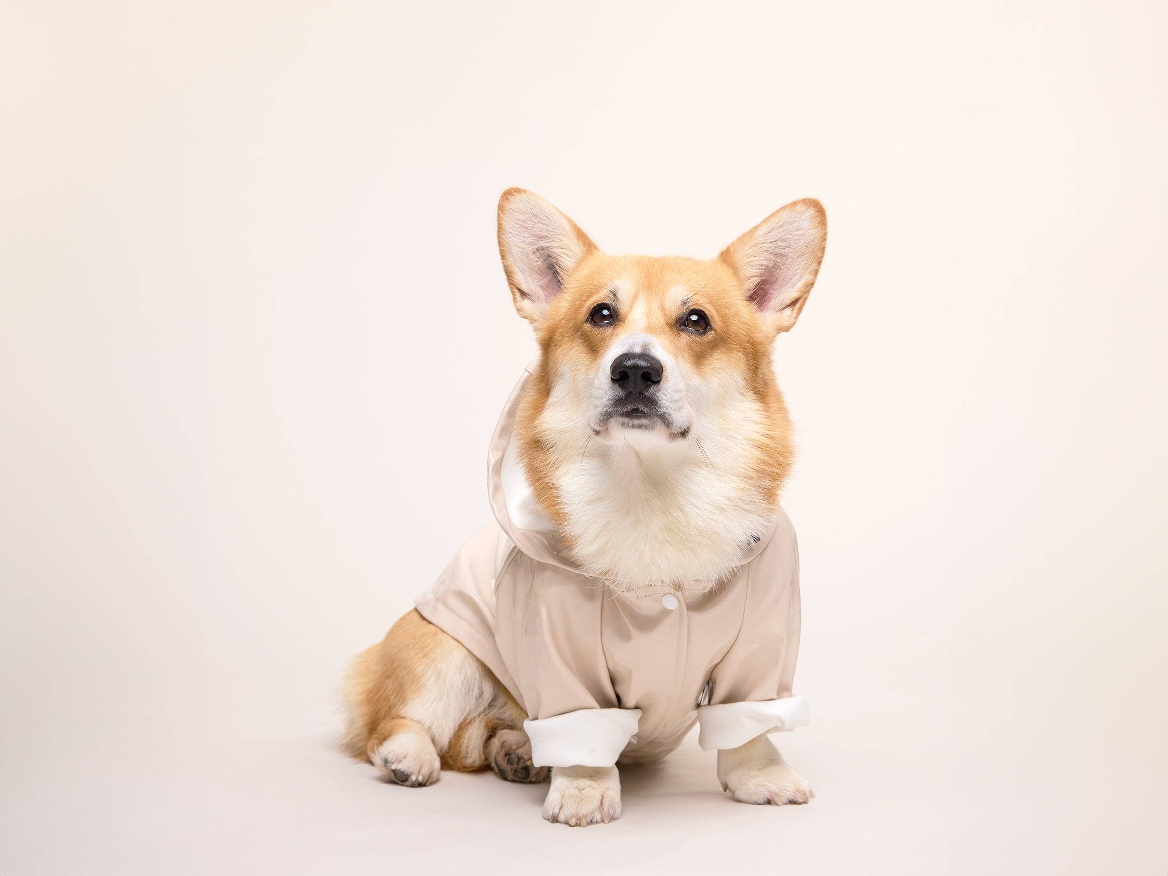 French Bandit - Wholesale Hondenregenjas - Hond - Crèmekleurige regenjas voor honden4