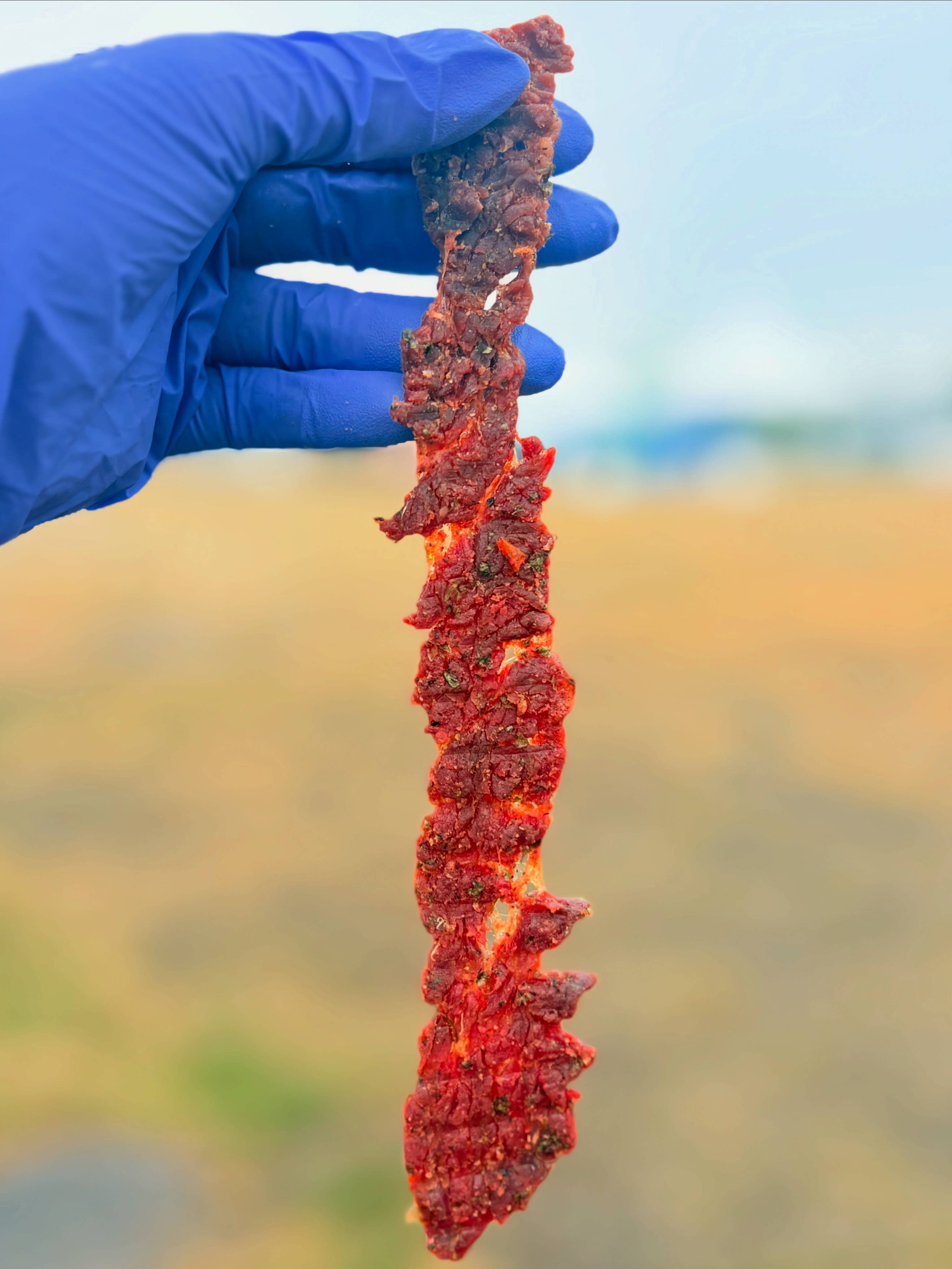 Exceptional Jerky LLC - Wholesale Jerky - Exceptional Jerky Variety 3 - 6 Flavors7