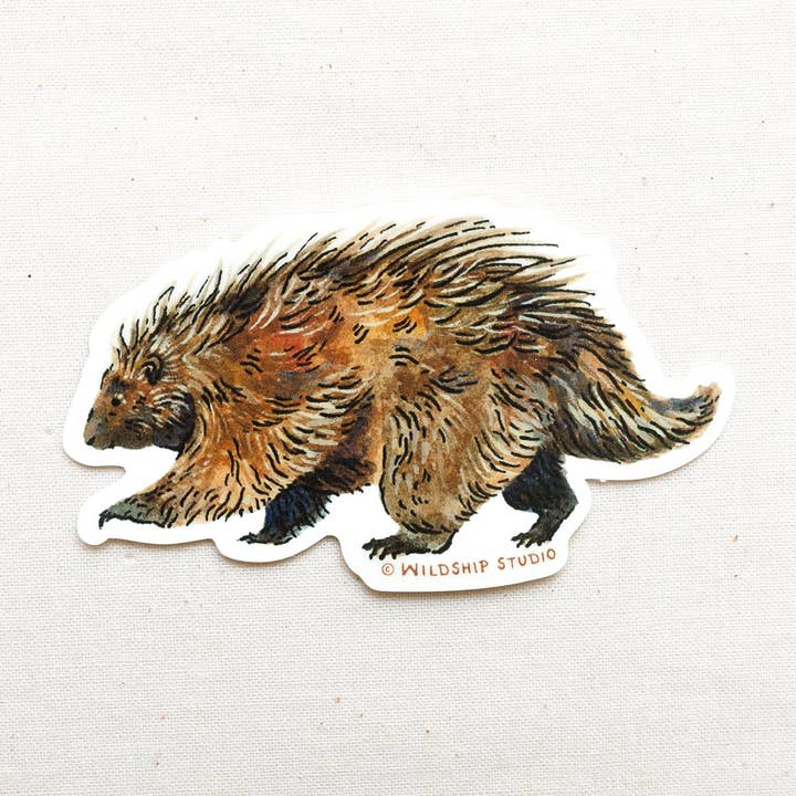 Porcupine Sticker for wholesale by Wildship Studio
