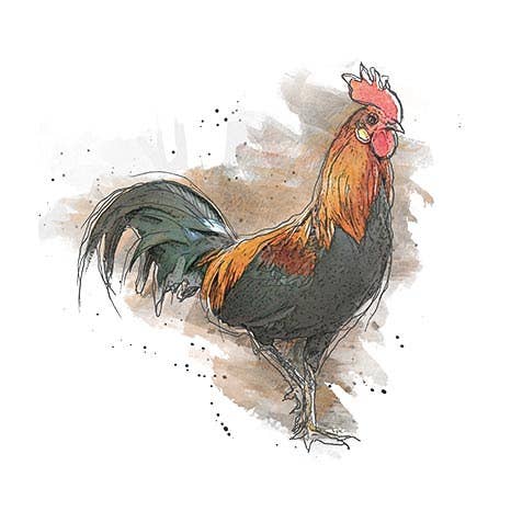 RSM004 rice paper 6 different graphics 15x15 cm / 5.8x5.8 in for wholesale by ITD Collection