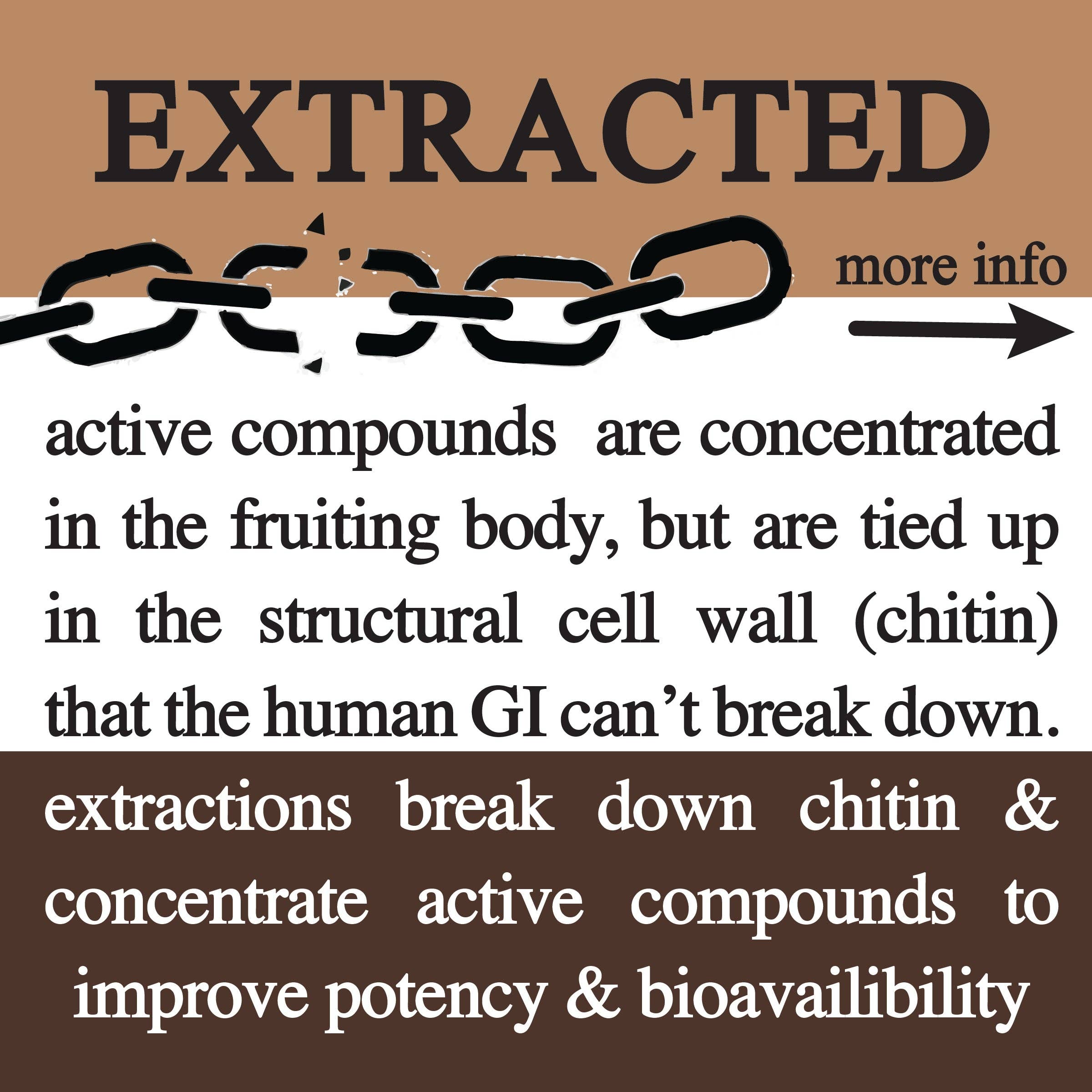Roots Apothecary - Vendita all'ingrosso Proteine/superfood in polvere - Cacao adattivo. Superfood per le prestazioni.5