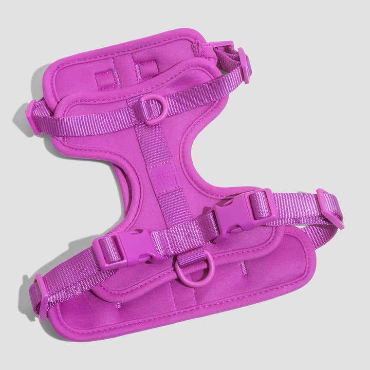 Wild One - Wholesale Pet Harness - Dog - Harness51