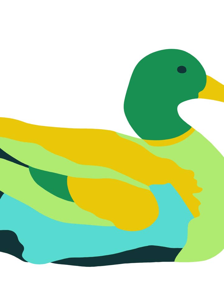 Pato Pinta-por Número por atacado de Fundenberger Studio