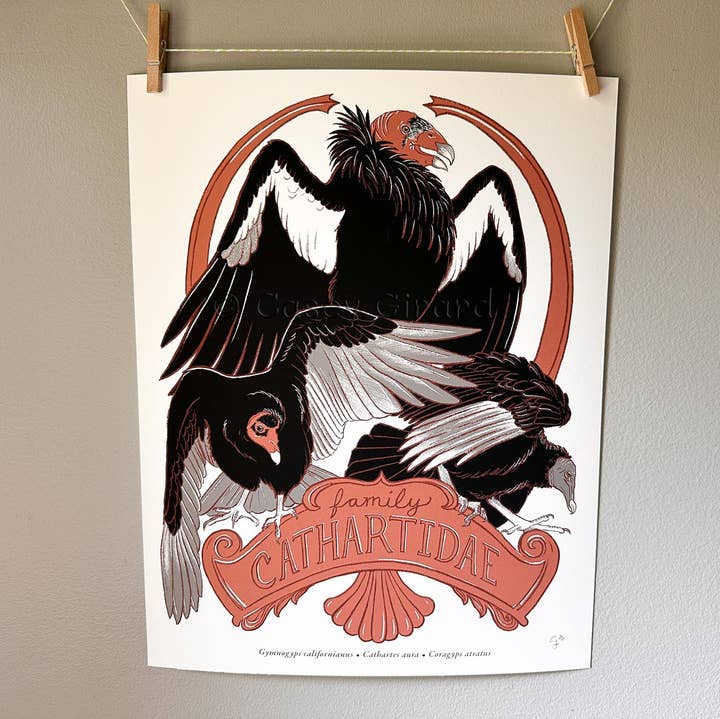 family Cathartidae - Vulture Poster for wholesale by River Thrush Studio