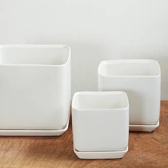 Cube With Attached Saucer, Matte White for wholesale by Pacific Home & Garden