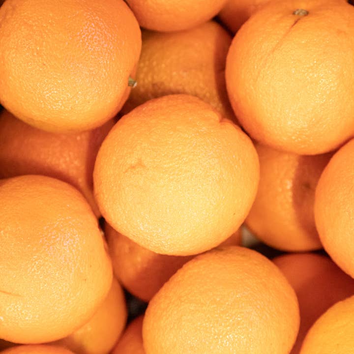 Blake Hill Preserves - Wholesale Jam/Jelly - Seville Orange Marmalade5