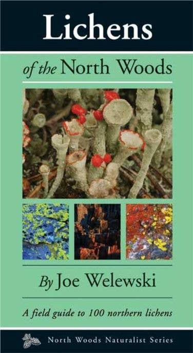 AdventureKEEN - Wholesale Nature & Outdoors - Lichens of the North Woods0