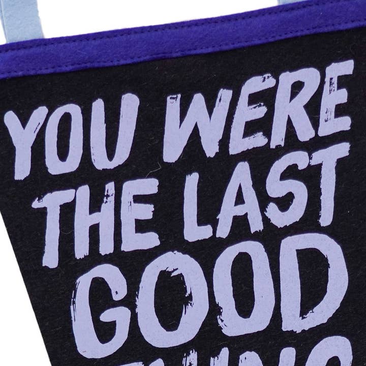 Oxford Pennant - Wholesale Flag - You Were The Last Good Thing Pennant • Fall Out Boy x Oxford Pennant2