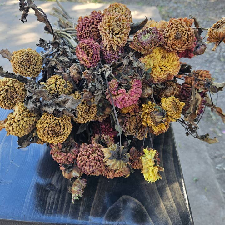 Alissas Flower Farm - Wholesale Dried/Pressed Flowers - Dried Dahlias