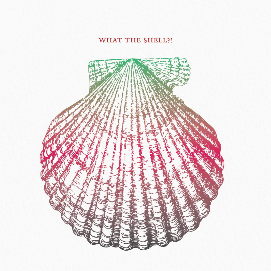 Ampersand M Studio - Wholesale Friendship Card - What the Shell Friendship Greeting Card1