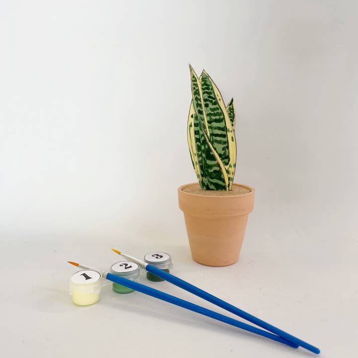 Dainty Little Tiny Things - Wholesale DIY Craft Kit - Paint Your Own: Snake Plant0