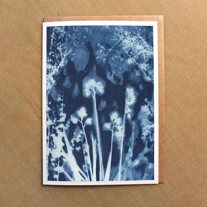 Cyanotype - Spectre de Jacinthe - Carte Fine Art Giclée pour la vente par Cascade Press