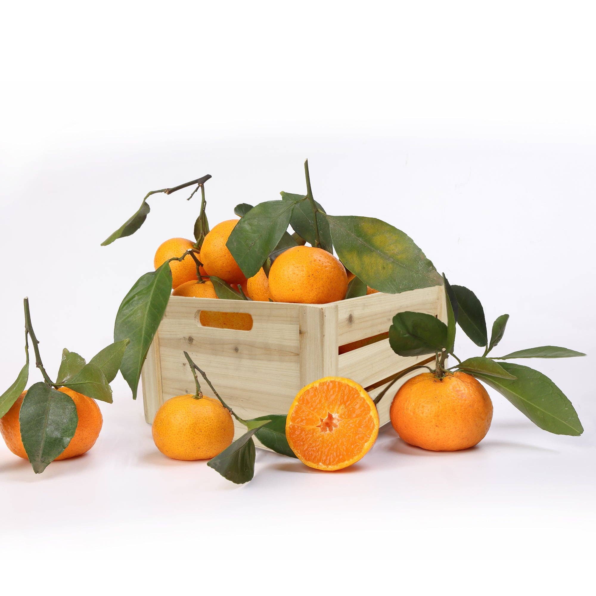 Portofino International Trading, USA - Wholesale Decorative Tabletop Object - Decorative Natural Wood Crate 4 Piece Set4