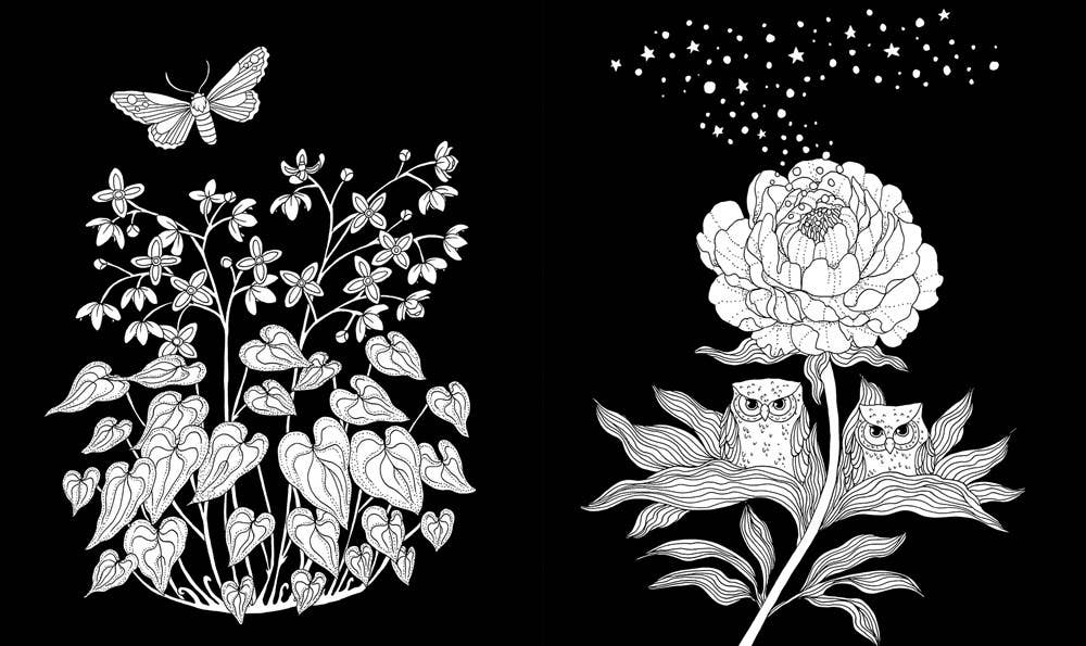 Gibbs Smith - Vente Livre de coloriage et d'activités pour adultes - Livre de coloriage Nightfall1