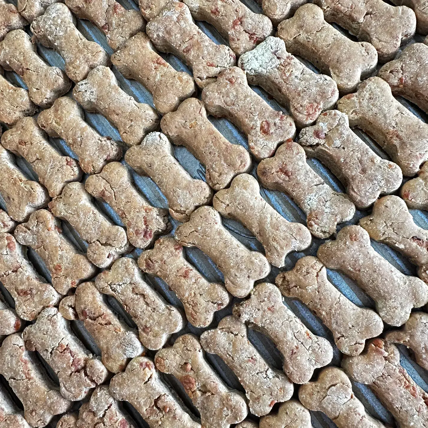 Live Pawsitive - Wholesale Pet Treats - Dog - Duck N' Beet Bites ( Superfoods for Dogs)1