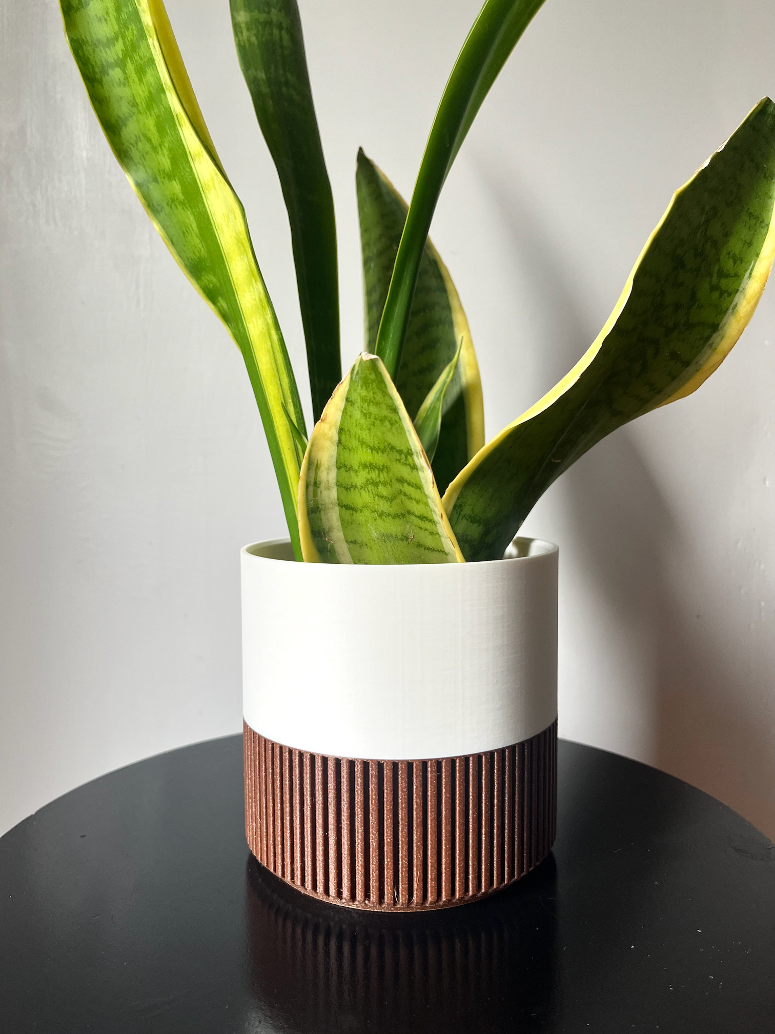 Prairie City Printing Co. - Vente Pot - Pot de Plante en Cèdre Bicolore & Couleur | Inspiré du Milieu du Siècle4