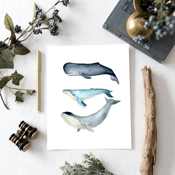 Vintage Whales Art Print for wholesale by Fox and Wild