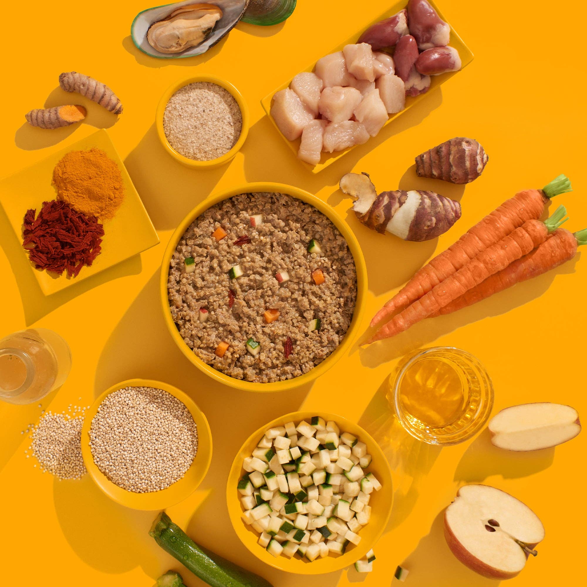 FRED & FELIA - Wholesale Pet Food - Dog - FRED Chicken (Senior)1