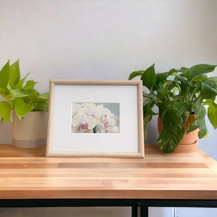 Pink…Delicately for wholesale by Dina Marie Views