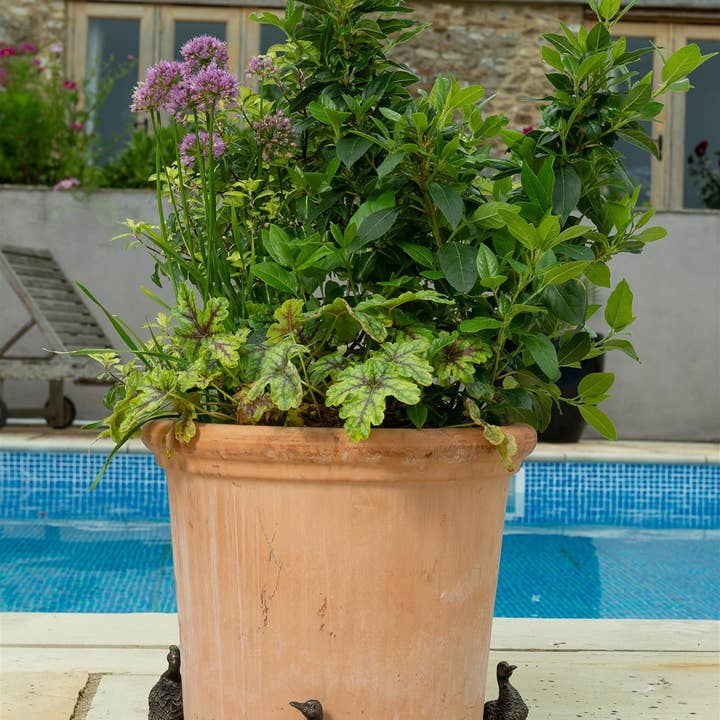 Jardinopia UK – wholesale Plant pot – Aylesbury Duck Plant Pot Feet - Set of 3