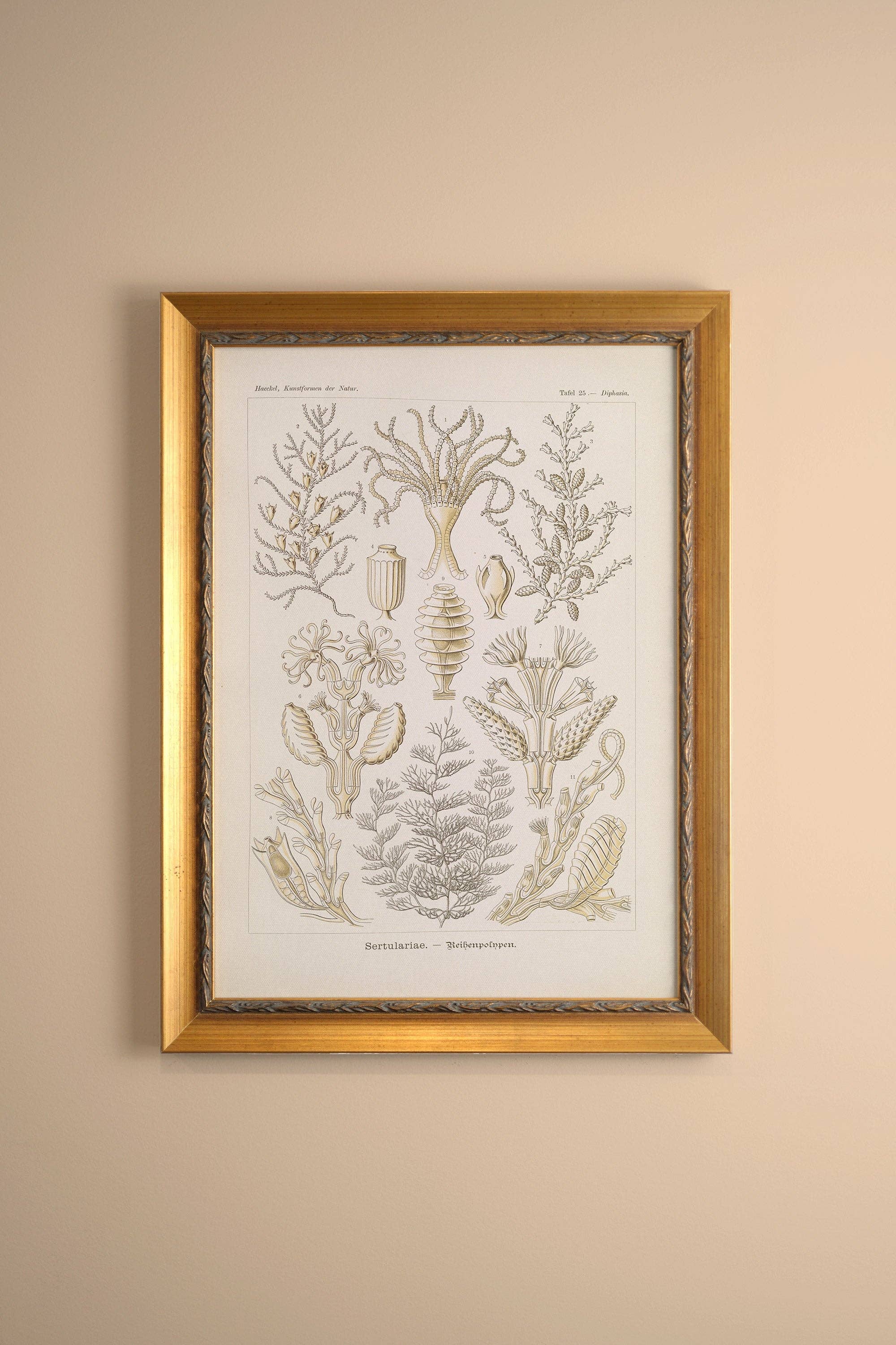 Oleka Canvas - Wholesale Art Print - ESSENCE MARINE, canvas wall art print0