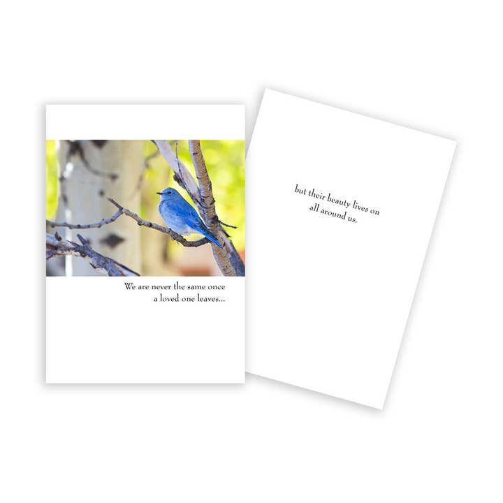 Bluebird on Branch Sympathy Card for wholesale by Sun Day Greetings