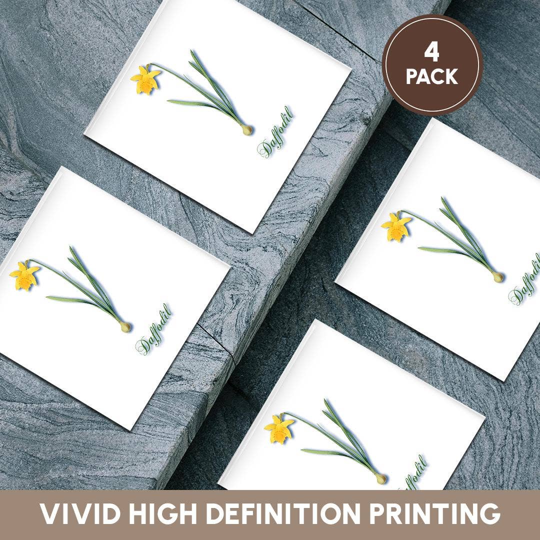 3dRose - Wholesale Coasters - 3dRose, Daffodil, Botanical Print Bright Yellow Daffodil Early Spring Flower, Coaster5