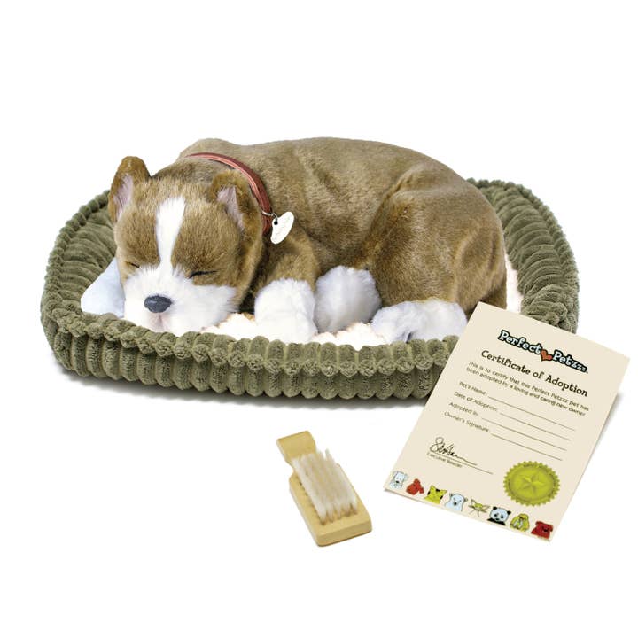 88Unlimited/Perfect Petzzz - Wholesale Stuffed/Plush Toy - Kids & Baby - 17Original - Pit Bull1