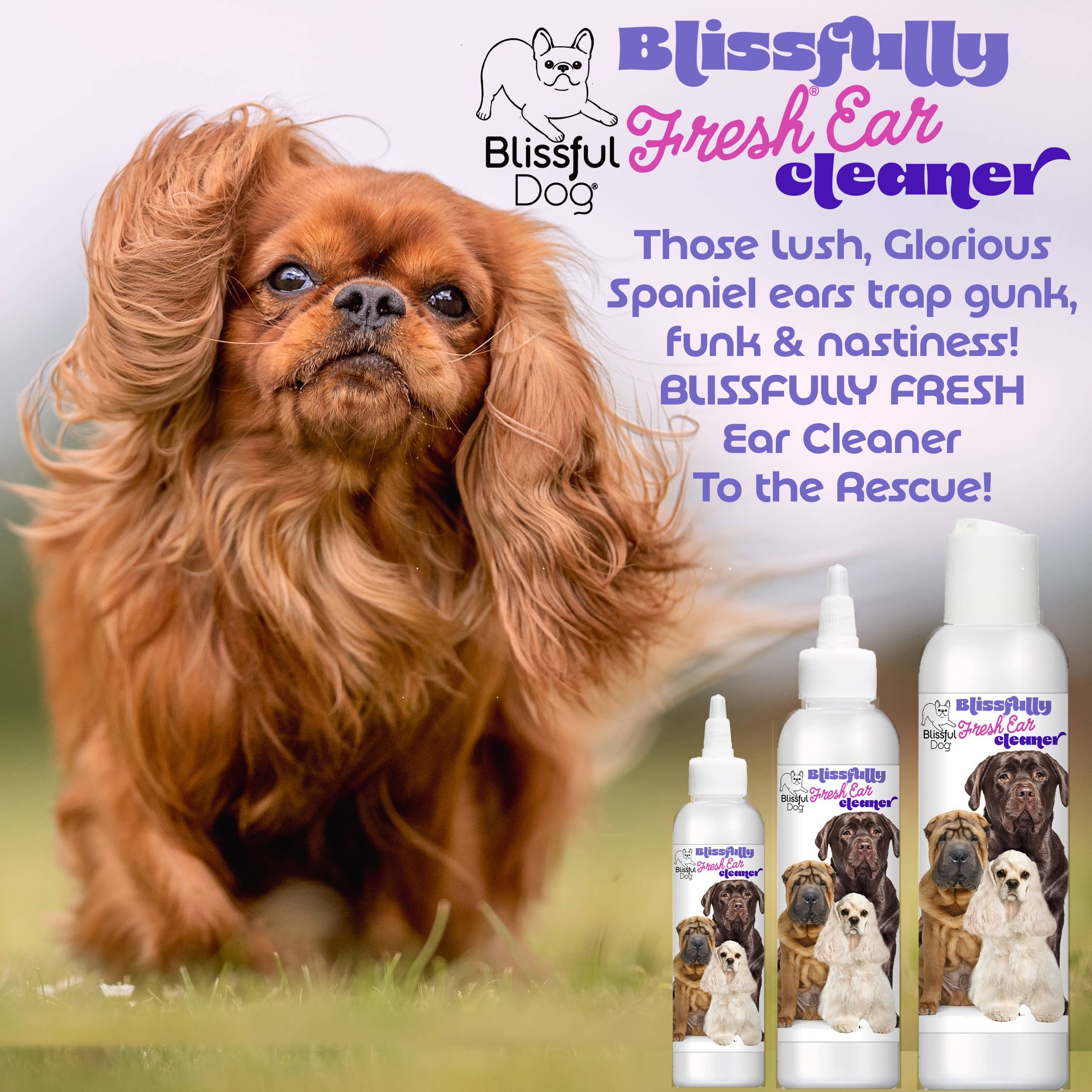 The Blissful Dog - Wholesale Pet Cleaning Supplies - Blissfully Fresh Dog Ear Cleaner in 4, 8, 16 oz5