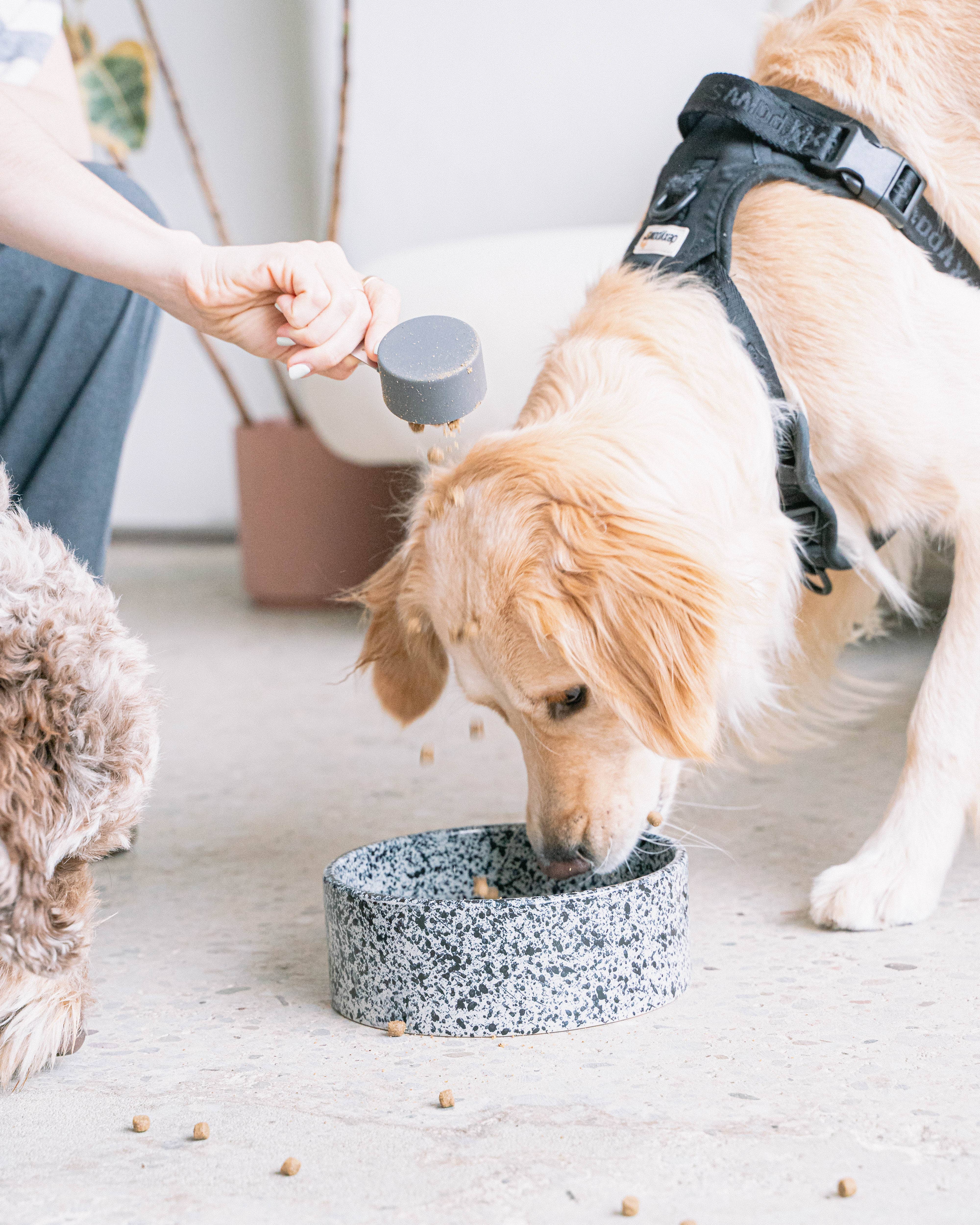 dexypaws – wholesale Pet bowl – Cat/dog – Salt & Pepper Ceramic Dog Bowl1