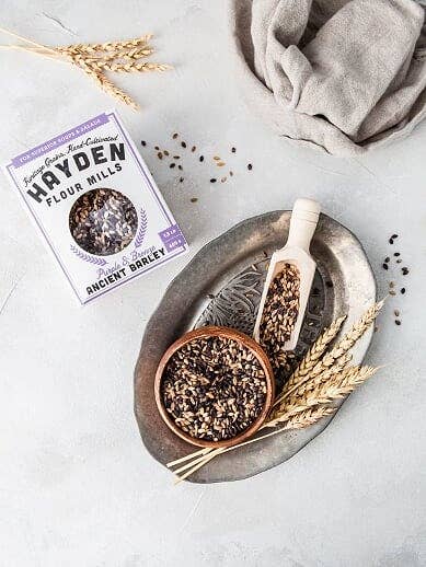 Hayden Flour Mills - Wholesale Whole Grains - Purple Barley Berries2