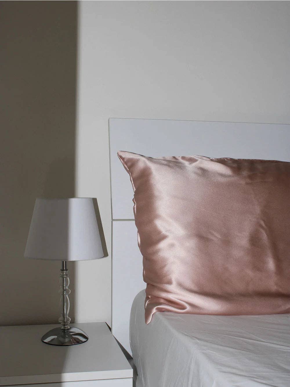 Francine Hair Care - Vendita all'ingrosso Maschera per dormire - Federa in Seta di Gelso4