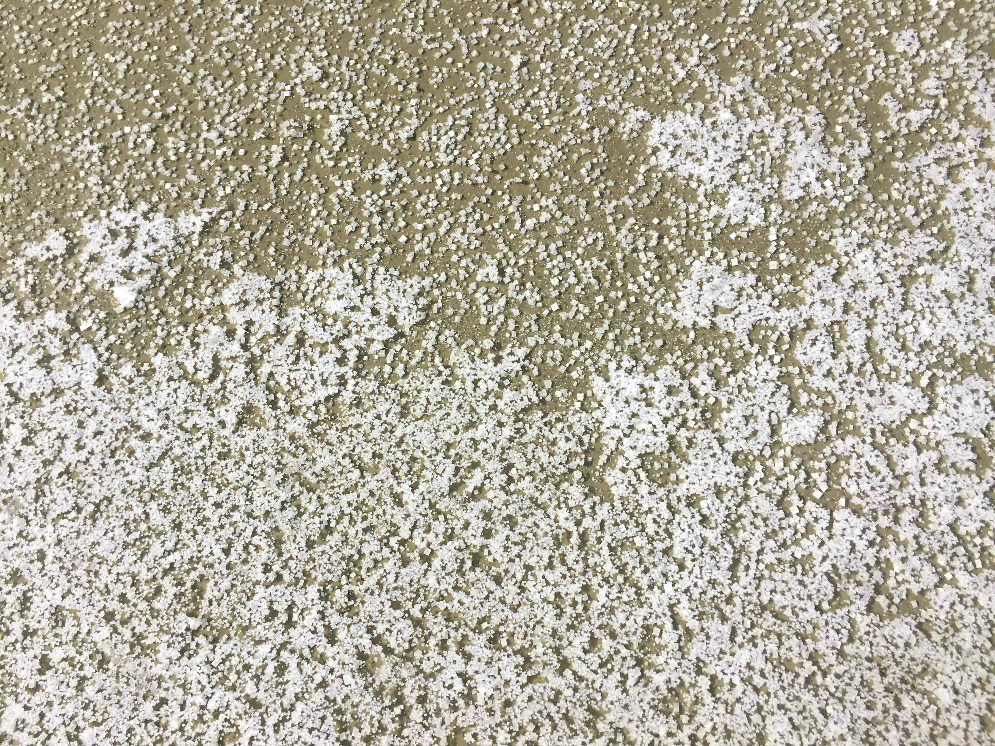 Artisans du sel – Großhandel Salz-Pfeffer-Mischung – Fleur de Sel de Guérande & Schwarzer Pfeffer 100g Bio6